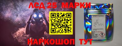 МДПВ Камышлов