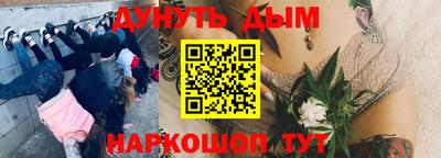 МДПВ Камышлов