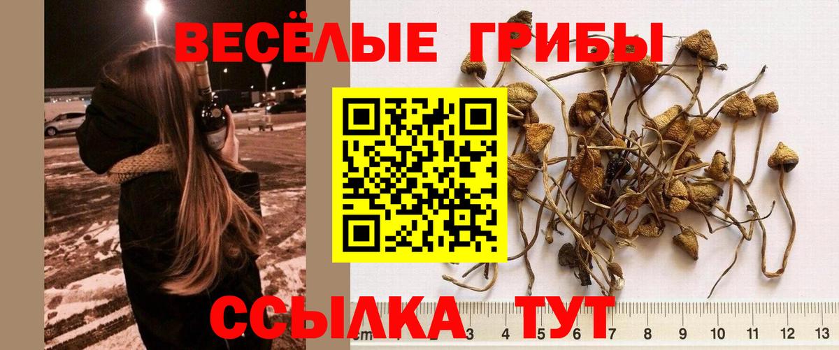 хочу   Псилоцибиновые грибы мухоморы  Вход с VPN  Краснокаменск 